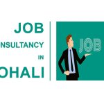 5 job consultants in Mohali