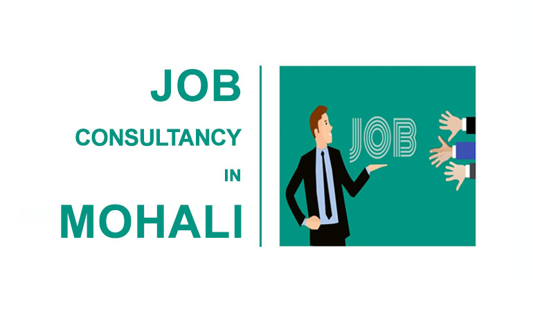 5 job consultants in Mohali