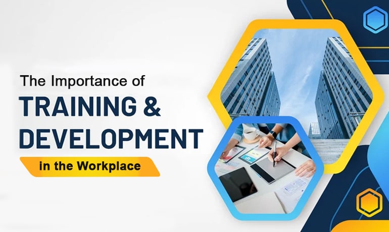 The importance of Training & Development in the workplace