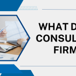 What do hr consulting firms do